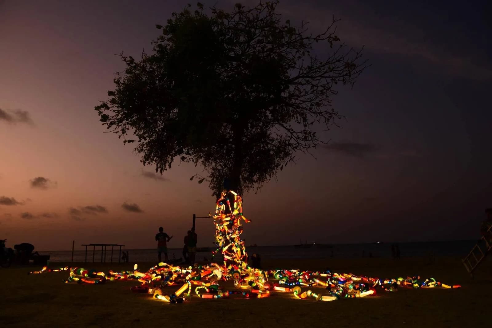 Árvore iluminada ao anoitecer, vista através de uma vidraça — o acesso restrito ao [IP] HOUSECULTURA